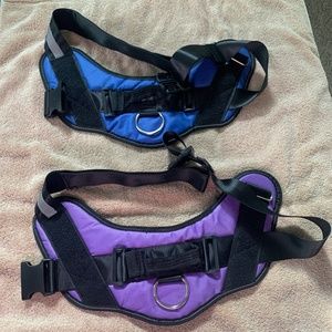 Dog harness
